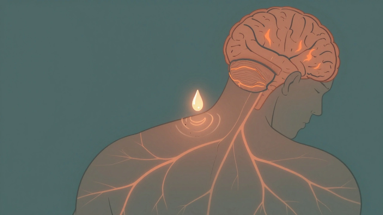 How Crotamiton Works: A Deep Dive into Its Mechanism of Action