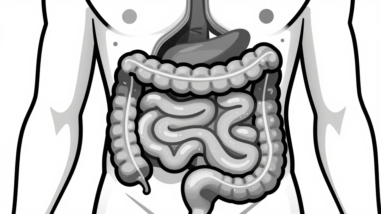 Common Opioid Side Effects: Managing Constipation, Drowsiness, and Nausea